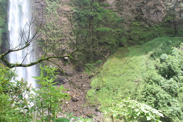 the atmosphere in the Coban Rondo waterfall which has many monkeys, Malang, East Java, Indonesia