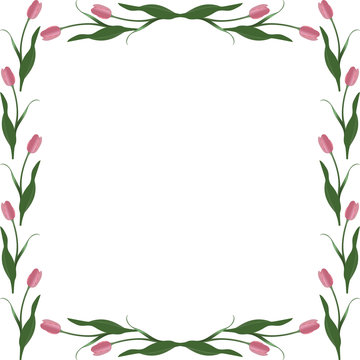 Spring frame of tulips in the shape of a square. Rosebud. Vector. Place for text, photos. Isolated background. Idea for creating a greeting card, invitation, card. Floral ornament.