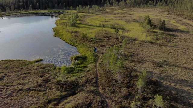 Aerial tracking shot of man and dog walking in nature during evening
