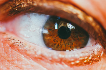 Extremely close up of a woman's eye with makeup. Selective focus macro shot with shallow DOF