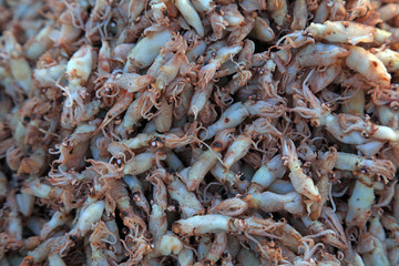 Dry cuttlefish on the market