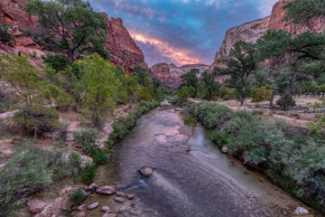Zion river sunset