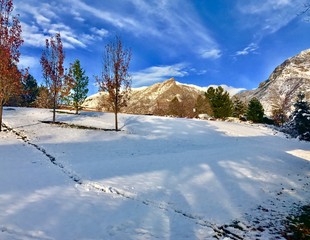 winter view of outdoor scenery 
