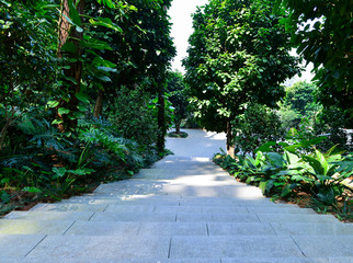 Stone steps in the park