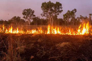 Landscape view of "Controlled Burning" to reduce bushfire risk in the Kimberley, Australia. The indigenous people of the area traditionally burnt selected areas annually.