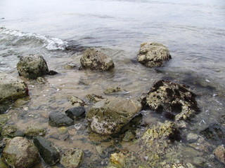 rocks on the beach