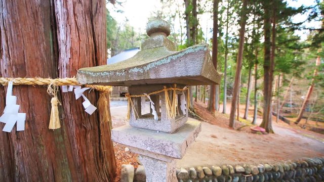Closeup panning view of stone lantern lamp at Higashiyama walking course with cedar tree trunk in forest, hangning folded paper shide on straw rope in park of Takayama, Japan