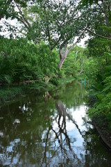 landscape of public park in the morning with view of water small pond