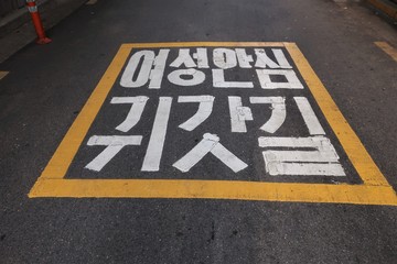 여성안심귀갓길