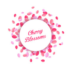 Floral cherry blossom petals frame vector illustration