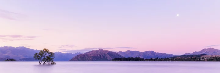 Printed roller blinds purple That Wanaka Tree at Sunset, Lake Wanaka New Zealand, Popular Travel Destination South Island, NZ