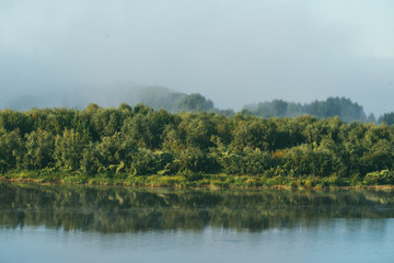 Early morning l Spring landscape with a full flowing river in the foreground and a green Bank overgrown with bushes and trees in the background. The distant plan is drowned in a thick morning fog