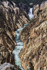 Yellowstone Falls