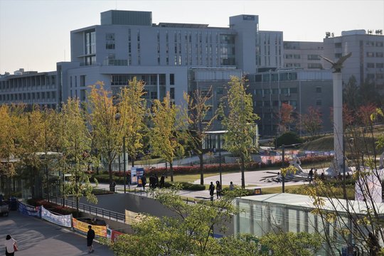 연세대 풍경