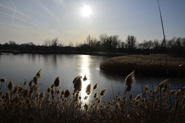 The ice on the lake. The sun is reflected on the surface of a frozen lake.