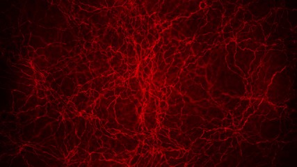 3D loop animation of human blood vessel. Red capillaries. Eye blood on black background. Anatomical background. Medical concept.