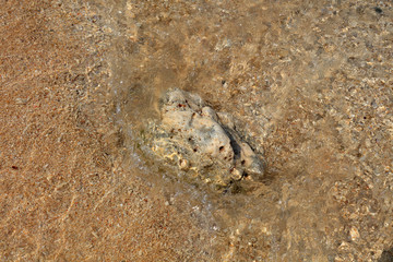 Rocks in the waves, in the natural environment