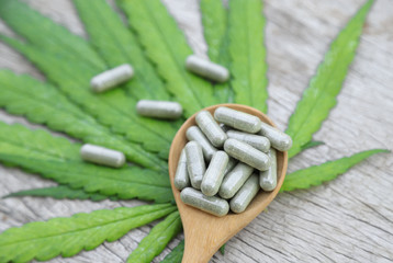 Herbal medicine from cannabis tree and leaf in capsules for healthy eating 