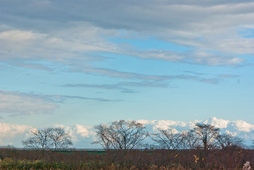 白い雲広い青空に木々のシルエット