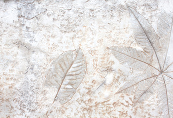 Leaf detail texture on cement wall