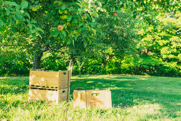 Apple house in Quebec City, Canada
