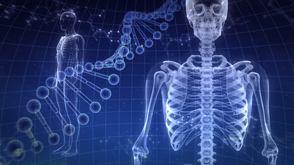 Human Body Skeleton Medical DNA Science Technology 3D illustration background.