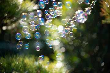 たくさんのシャボン玉
