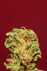Psicodelicia weed strain