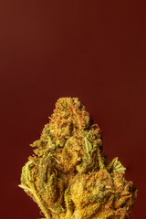 Obraz premium Green posion weed strain