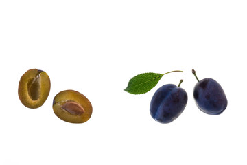 closeup of ripe prune plums isolated on white background with copy space