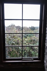 실내 창문 채광 풍경