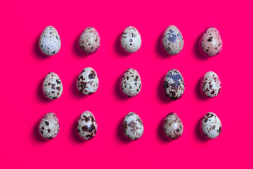 Raw organic quill eggs on pink paper, food design background. Flat lay