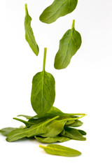 Several green spinach leaves fly down on a white background, fresh salad in motion, vegetables levitation concept