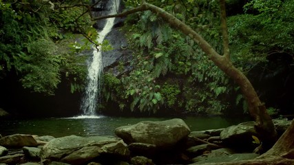 waterfall and lagoon in the rain forest - Powered by Adobe