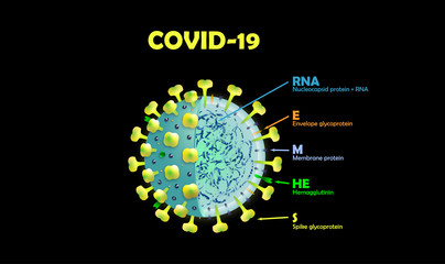 COVID-19 Coronavirus