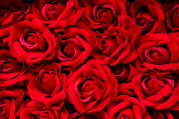 Red roses background