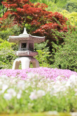 灯籠と芝桜　日本の風景