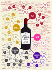 Infoghaphic poster about types of wines