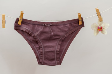 Beautiful women's cotton panties on white background.