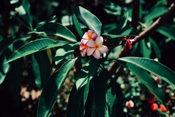 Processed with VSCO with q4 preset