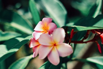 Processed with VSCO with q4 preset