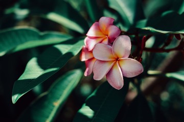 Processed with VSCO with q4 preset