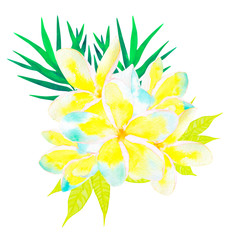  Beautiful floral bouquet with yellow frangipani flowers and tropical leaves, isolated on white, watercolor illustration.