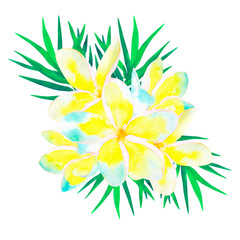 Beautiful Hawaiian bouquet of yellow plumeria flowers and coconut palm leaves. Isolated on white. Watercolor illustration.