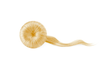 Blond hair on white, isolated. Doughnut bun