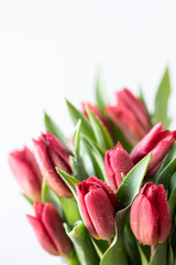 Close up of red tulips flowers bouquet and green leaves on white background, copy space
