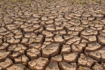Dry soil results from lack of water.Global warming