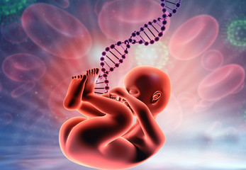 Fetus with dna on medical background. 3d illustration..