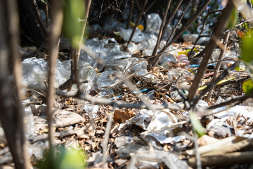 Littering of garbage of used plastic bag throw in the crevices of the bushes,lots of rubbish plastic waste,pollution problem by litter of plastic in the city,sloppy trash,carelessness of the people