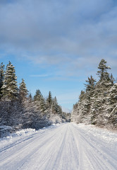 Plowed road in winter